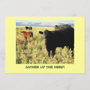 Have You Herd? Cattle Calves Western Party Shower Invitation