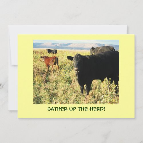 Have You Herd Cattle Calves Western Party Shower Invitation