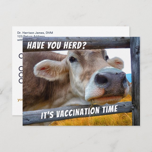 Have You Herd Vaccination Veterinary Reminder Post Postcard (Front/Back)