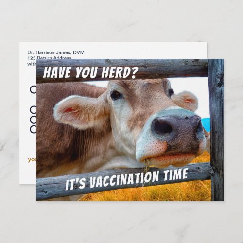 Have You Herd Vaccination Veterinary Reminder Post Postcard