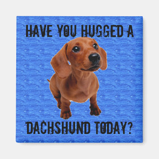 Have you hugged a Dachshund today? Magnet