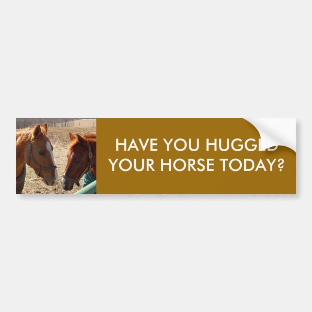 HAVE YOU HUGGED - bumper sticker (Front)
