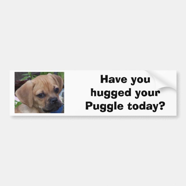 Have you hugged your Puggle today? Bumper Sticker (Front)
