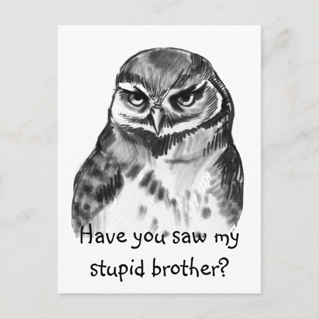 Have you saw my stupid brother - burrowing owl postcard (Front)