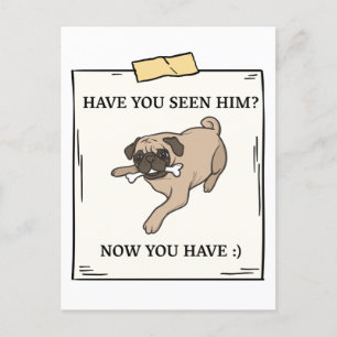 Have You Seen Dog Now You Have Pet Wanted Postcard