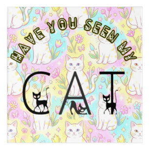 HAVE YOU SEEN MY CAT ACRYLIC PRINT