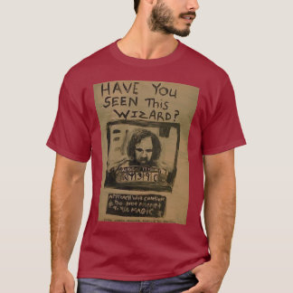 HAVE YOU SEEN THIS WIZARD T-Shirt