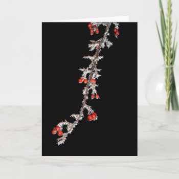Have Yourself A Berry Little Christmas Card by MortOriginals at Zazzle
