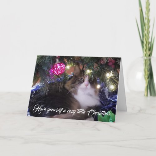 Have yourself a Cozy Cat under christmas tree Holiday Card
