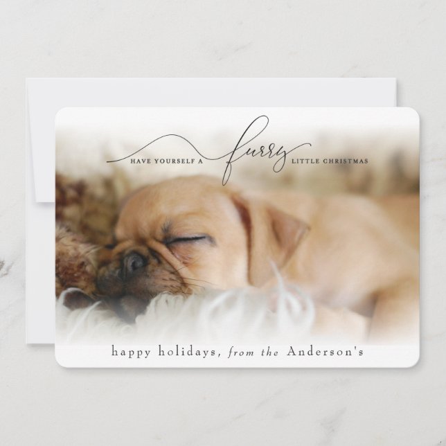HAVE YOURSELF A FURRY LITTLE CHRISTMAS HOLIDAY CARD (Front)