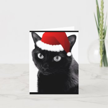 "have Yourself A Merry Little Christmas" Cat Card by WeAreBlackCatClub at Zazzle