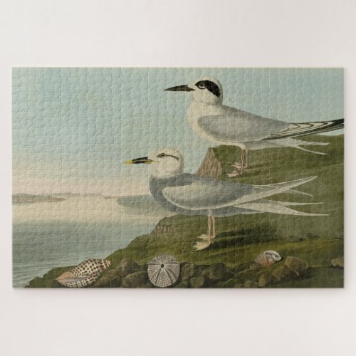 Havells  Trudeaus Tern Audubon Birds of America Jigsaw Puzzle