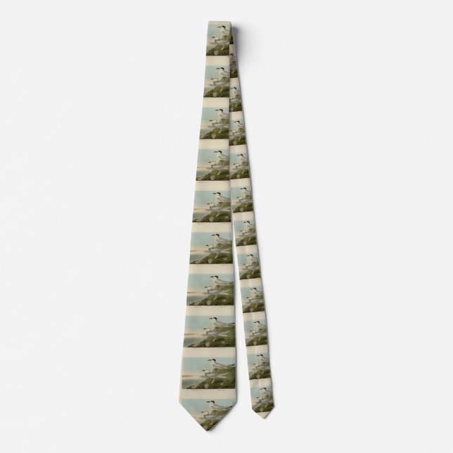 Havell's & Trudeau's Tern Audubon Birds of America Neck Tie (Front)