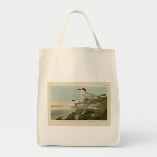 Havells  Trudeaus Tern Audubon Birds of America Tote Bag