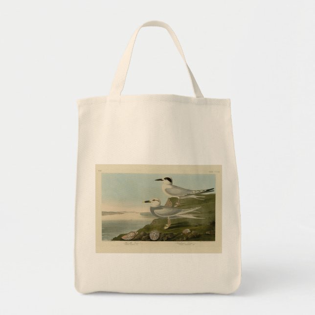 Havell's & Trudeau's Tern Audubon Birds of America Tote Bag (Front)