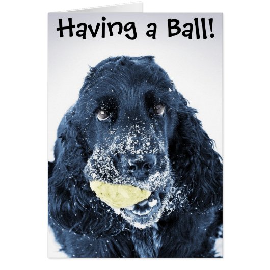 Having a Ball! (Front)