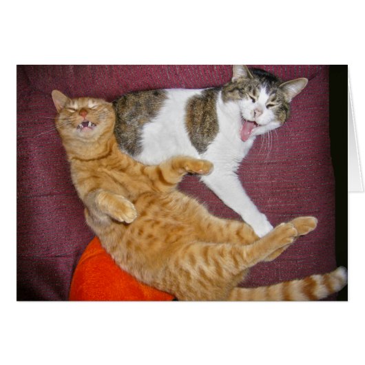 Having A Good Laugh (Front Horizontal)