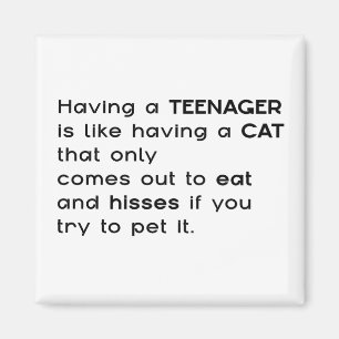 Having a Teenager... Magnet