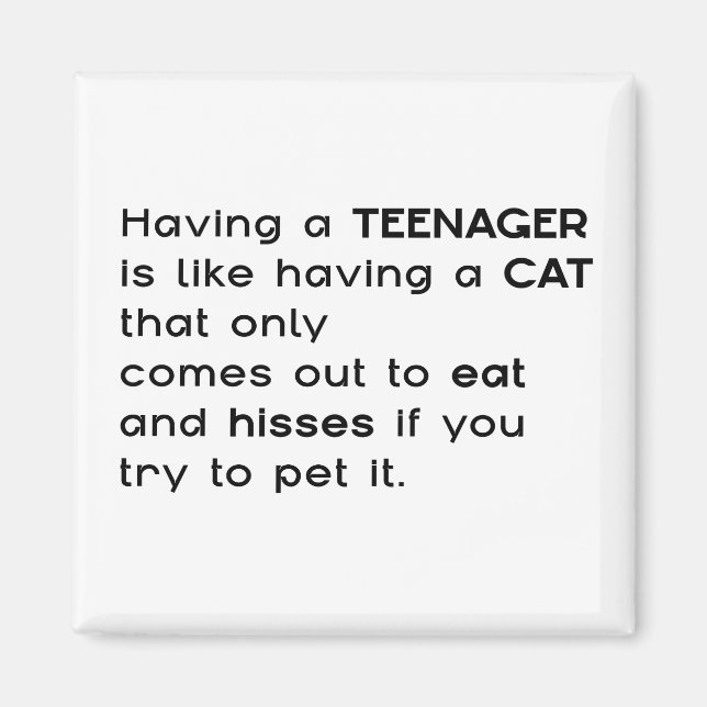 Having a Teenager... Magnet (Front)