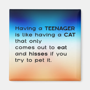 Having a Teenager... Magnet