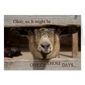 Having One of Those Days (Front Horizontal)