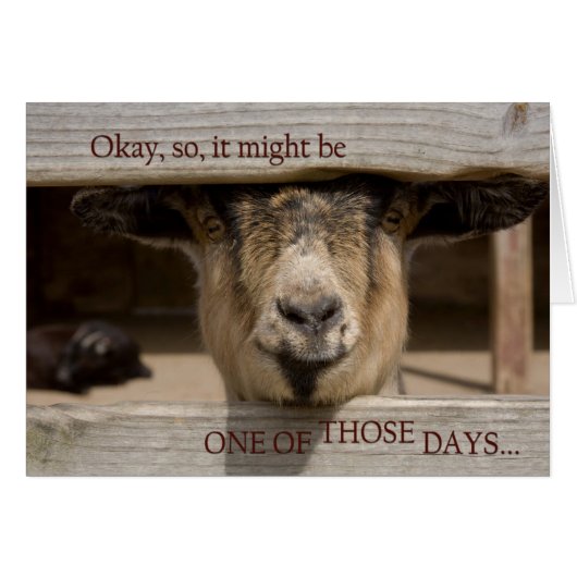 Having One of Those Days Cards (Front Horizontal)