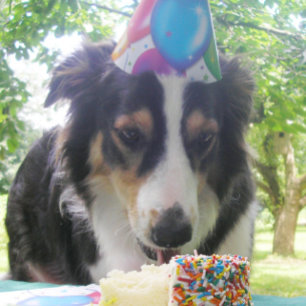 "Having Your Cake and Eating it Too!" Thank You Card