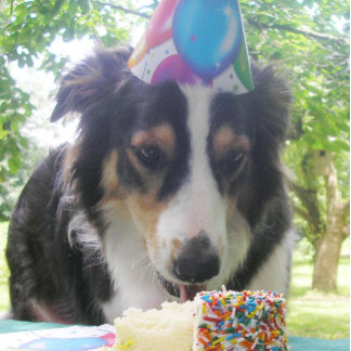 "Having Your Cake and Eating it Too!" Thank You Card