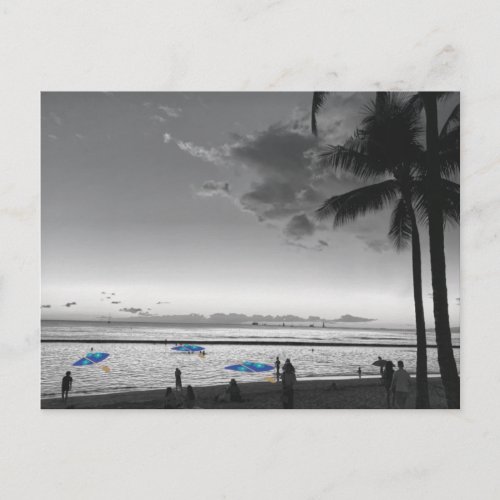 Hawaii Beach and Palm Trees Postcard