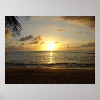 Hawaii Beach Poster