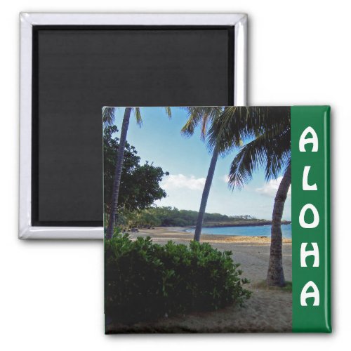 Hawaii Beach with Palm Trees Magnet