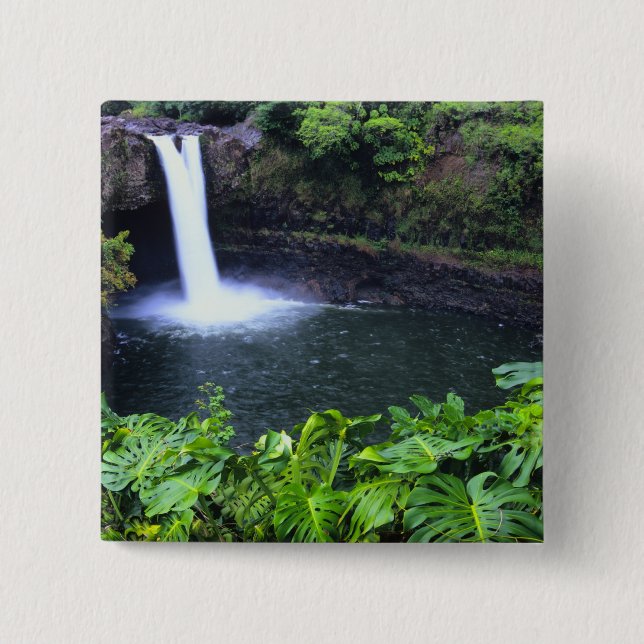 Hawaii, Big Island, Hilo, Rainbow Falls, Lush Button (Front)