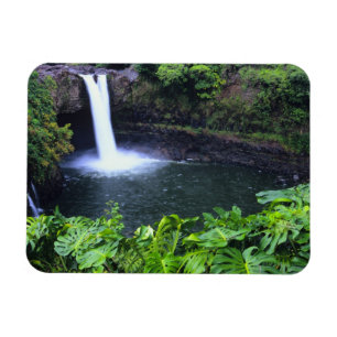 Hawaii, Big Island, Hilo, Rainbow Falls, Lush Magnet