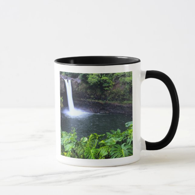 Hawaii, Big Island, Hilo, Rainbow Falls, Lush Mug (Right)
