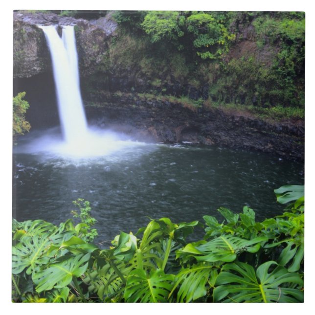 Hawaii, Big Island, Hilo, Rainbow Falls, Lush Tile (Front)