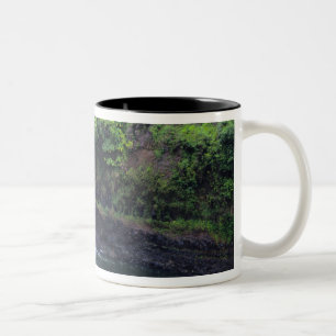 Hawaii, Big Island, Hilo, Rainbow Falls, Lush Two-Tone Coffee Mug