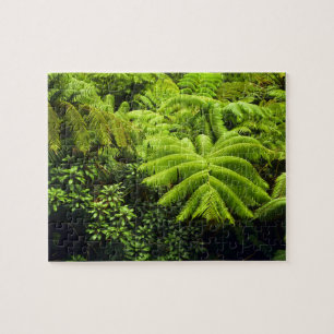 Hawaii, Big Island, Lush tropical greenery in 2 Jigsaw Puzzle
