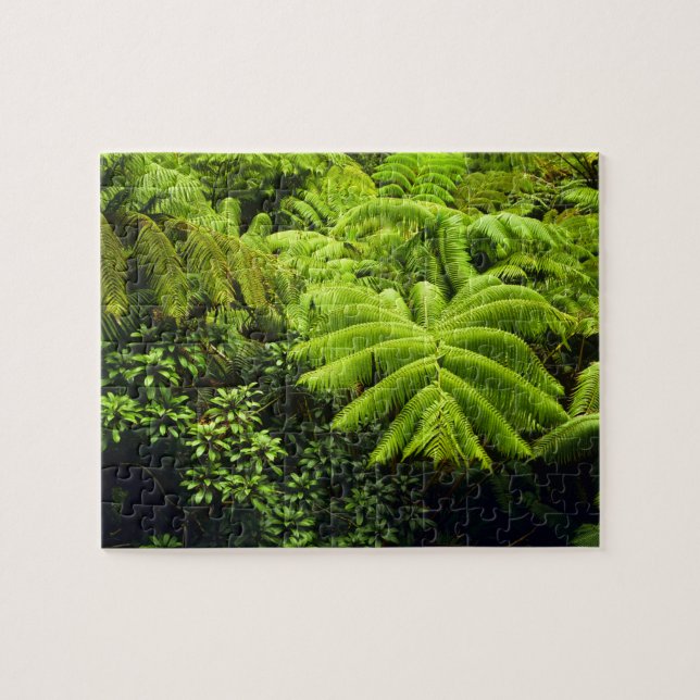 Hawaii, Big Island, Lush tropical greenery in 2 Jigsaw Puzzle (Horizontal)