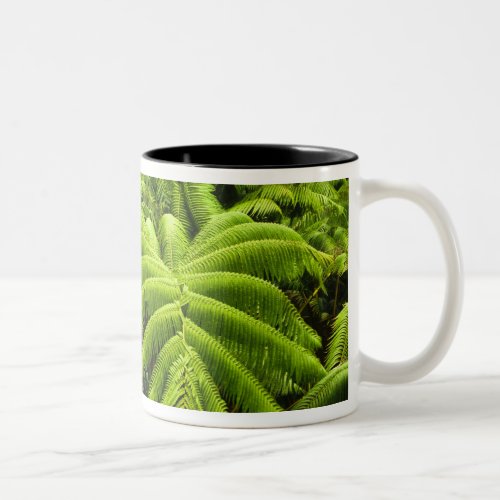 Hawaii Big Island Lush tropical greenery in 2 Two_Tone Coffee Mug