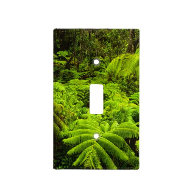 Hawaii, Big Island, Lush tropical greenery in Light Switch Cover (Front)