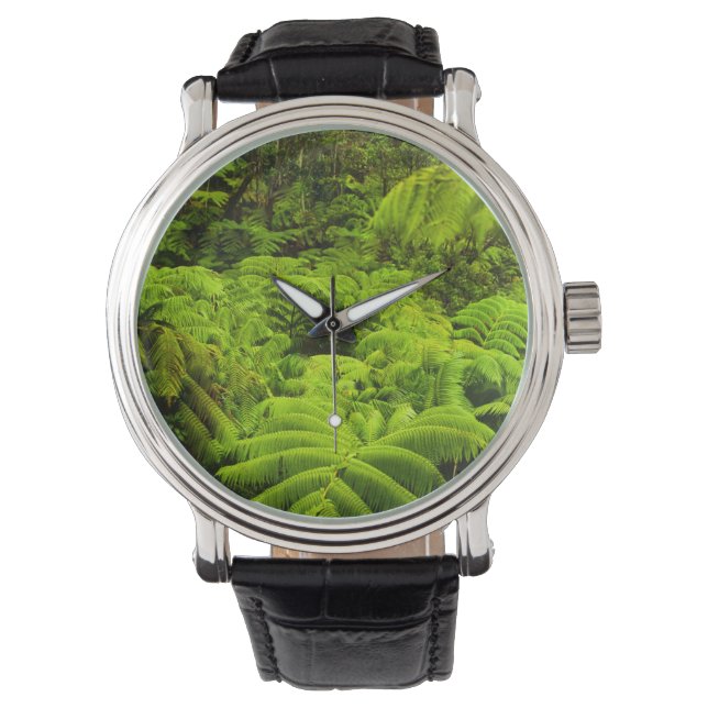 Hawaii, Big Island, Lush tropical greenery in Watch (Front)