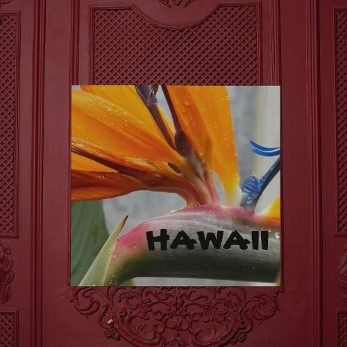 Hawaii Bird of Paradise Plant Floral Photographic Acrylic Print