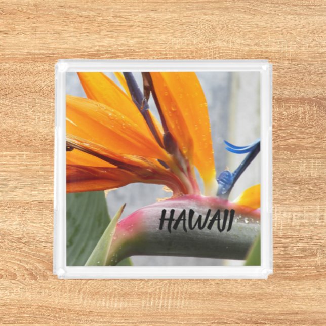 Hawaii Bird of Paradise Plant Flower Acrylic Tray (In Situ Front)