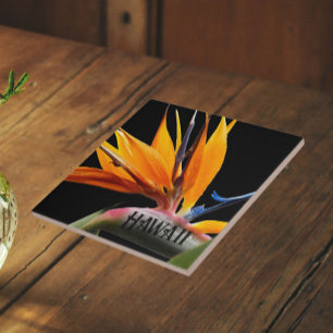 Hawaii Bird of Paradise Plant Flower Ceramic Tile