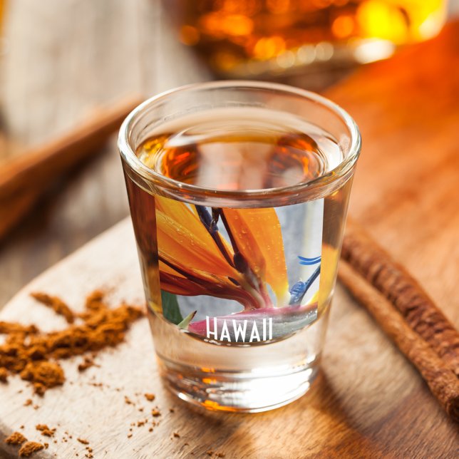 Hawaii Bird of Paradise Plant Flower Shot Glass (In Situ)