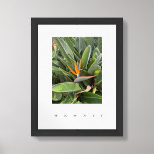Hawaii Bird of Paradise Travel Photography Poster