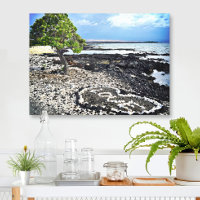 Hawaii Black Sand Beach Coral Love Heart Photo