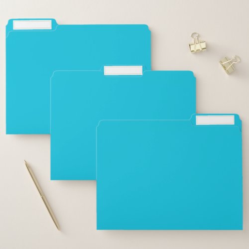 Hawaii Blue Solid Color File Folder