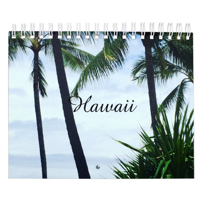 Hawaii Calendar (Cover)
