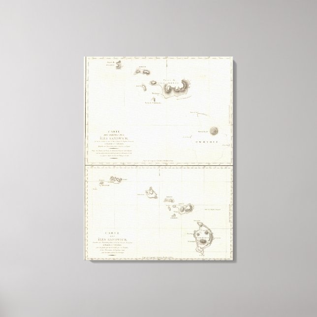 Hawaii Canvas Print (Front)